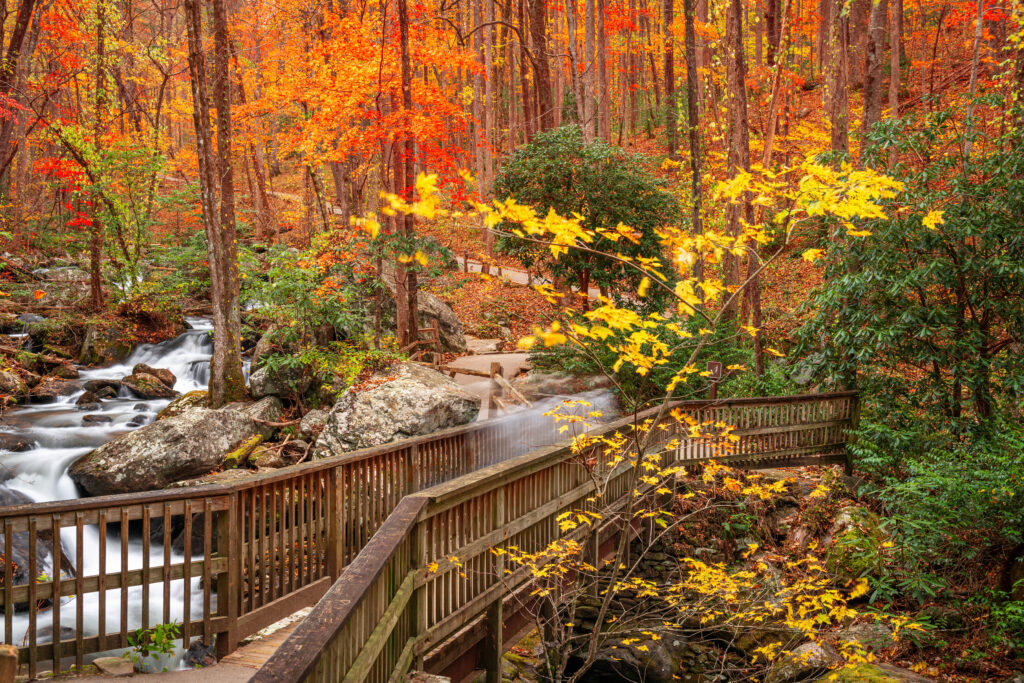 Bridge to Anna Ruby Falls, Georgia in autumn.