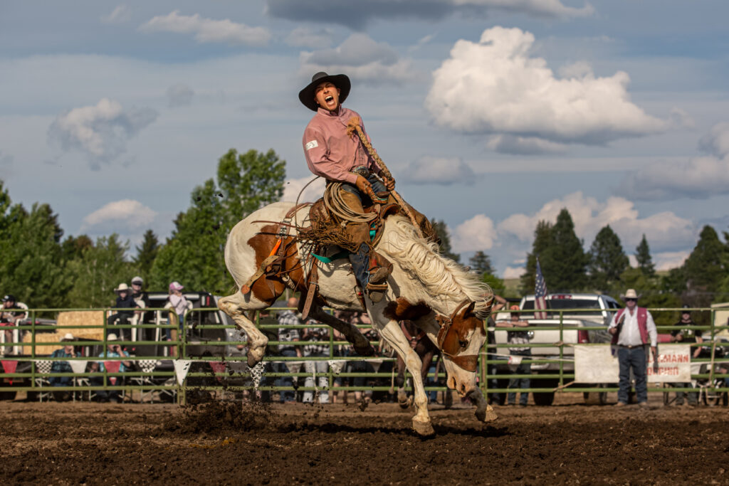 A north georgia dahlonega Rodeo that looks like a very fun and exiting activity.
