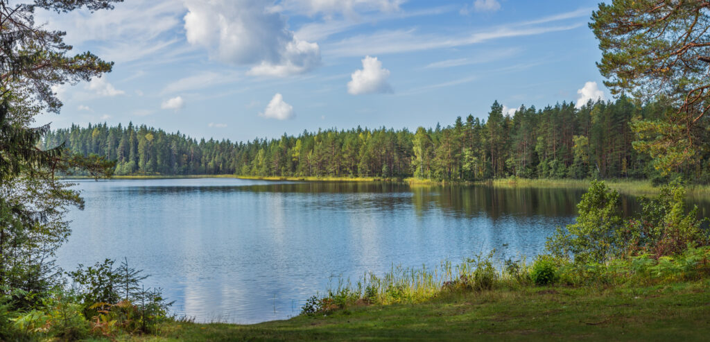 Beautiful forest lake in Panoramic view of beautiful lake landscape